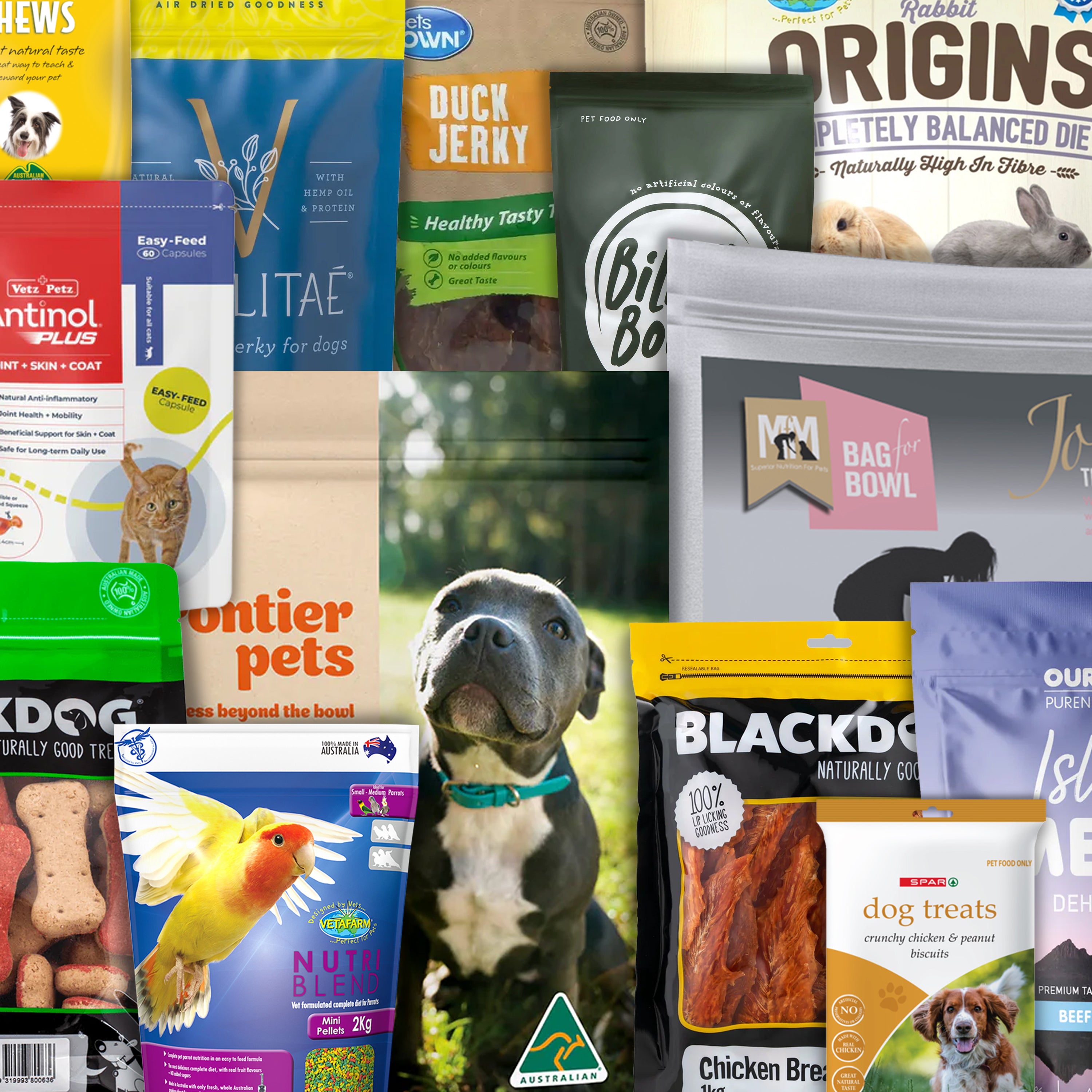 Pet Food Packaging