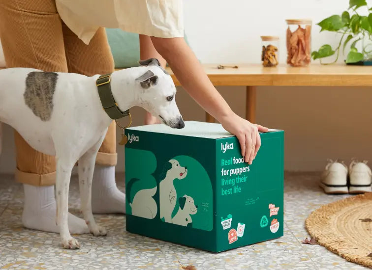 Pet Food Packaging