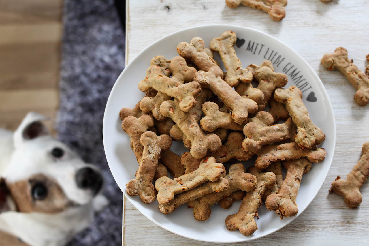 Pet Food Packaging