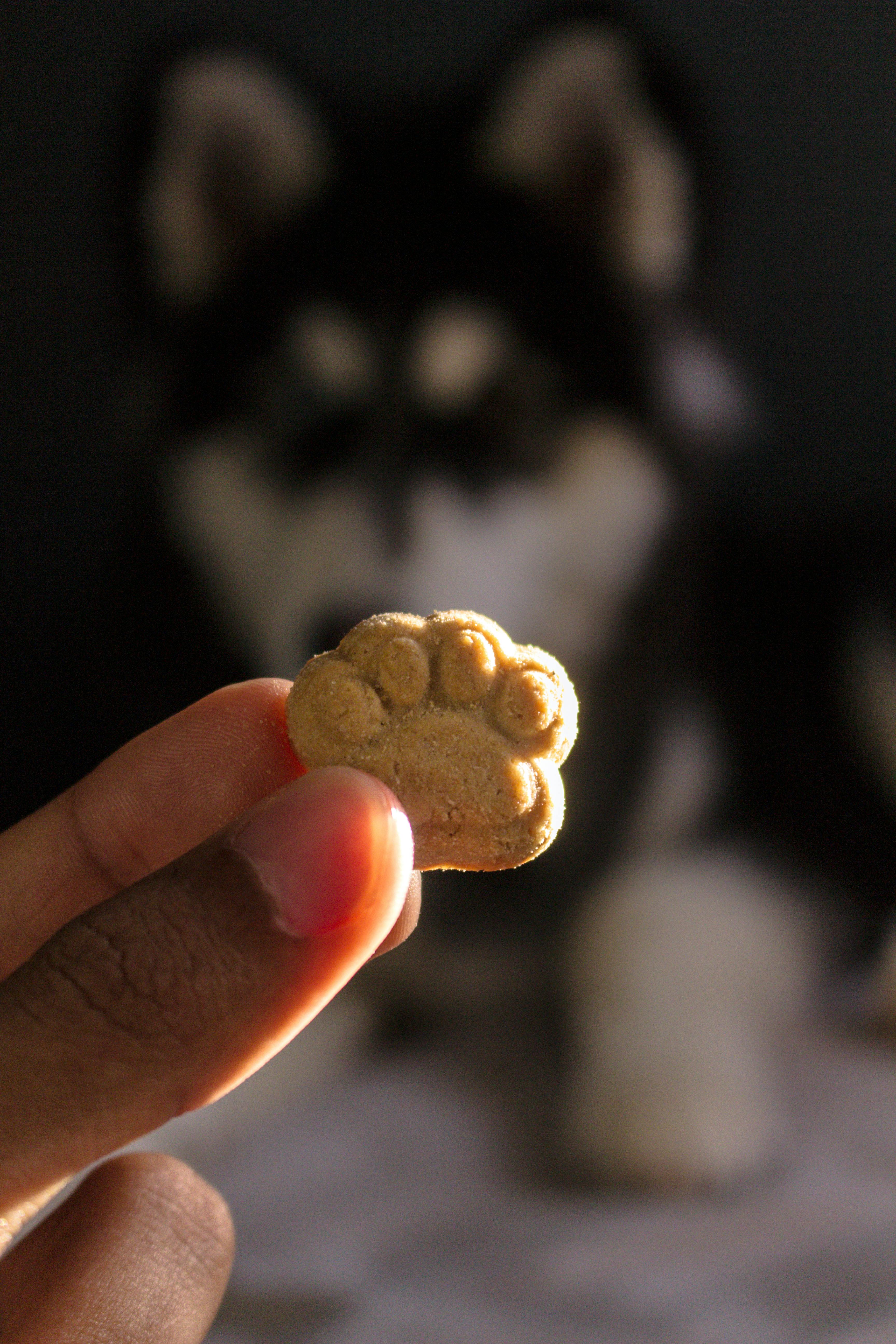 Pet Food Packaging